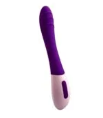 Violet Emotion G Noktası Uyarıcı Vibratör - 12 Fonksiyonlu & USB Şarjlı Mor - Image 3
