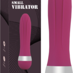 SMALL VİBRATOR