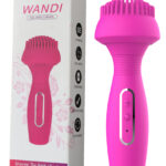 WANDİ