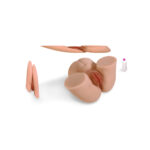 NİKO MASTÜRBATÖR - Ultra Gerçekçi 3D Tasarım Harika Masturbatör